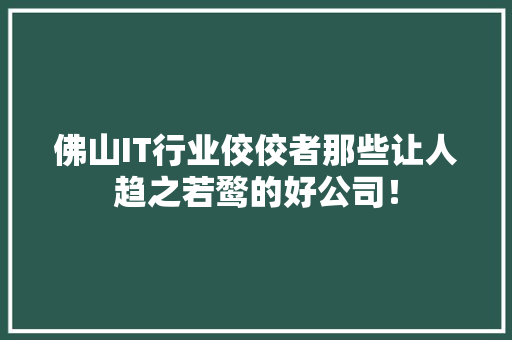 佛山IT行业佼佼者那些让人趋之若鹜的好公司！ 必应SEO