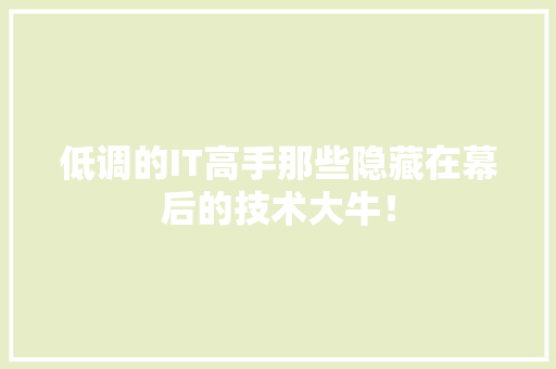 低调的IT高手那些隐藏在幕后的技术大牛！ 神马SEO