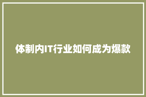体制内IT行业如何成为爆款