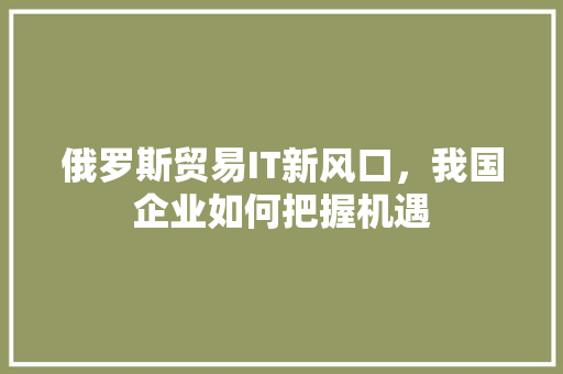 俄罗斯贸易IT新风口，我国企业如何把握机遇