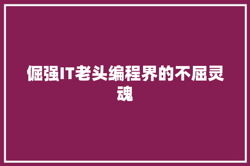 倔强IT老头编程界的不屈灵魂 百度SEO