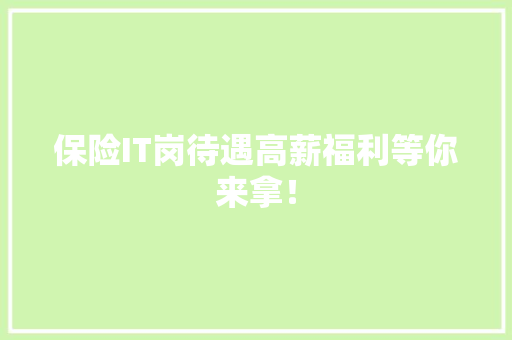 保险IT岗待遇高薪福利等你来拿！