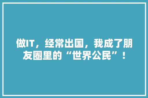 做IT，经常出国，我成了朋友圈里的“世界公民”！ 网站建设公司