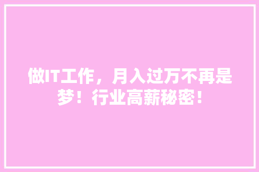 做IT工作，月入过万不再是梦！行业高薪秘密！ 必应SEO