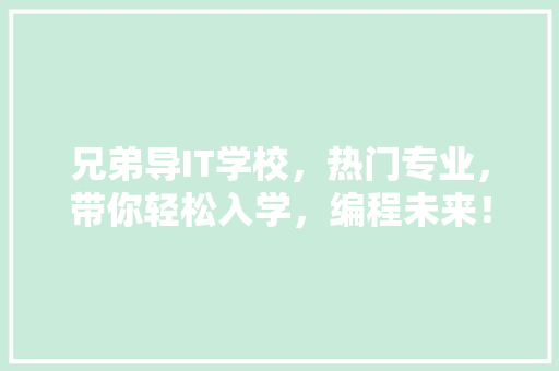 兄弟导IT学校，热门专业，带你轻松入学，编程未来！
