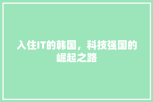 入住IT的韩国，科技强国的崛起之路