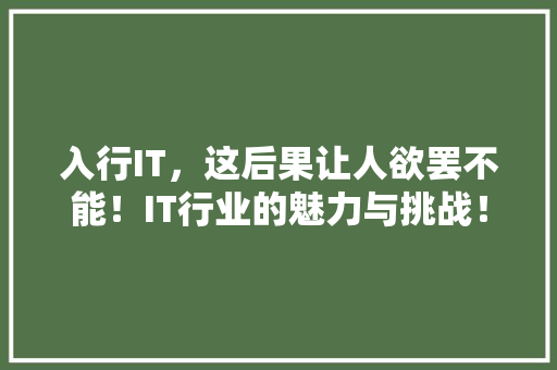 入行IT，这后果让人欲罢不能！IT行业的魅力与挑战！