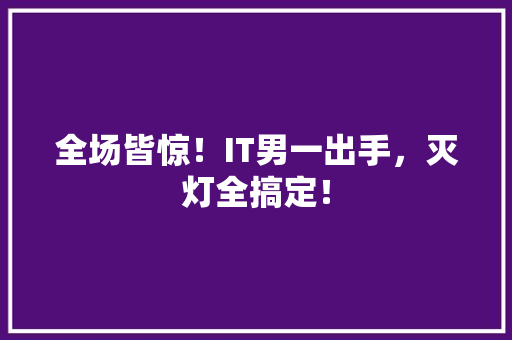 全场皆惊！IT男一出手，灭灯全搞定！ 神马SEO