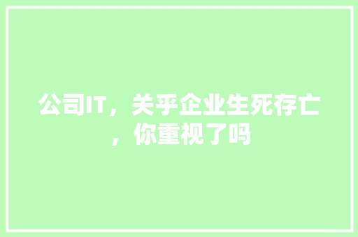 公司IT，关乎企业生死存亡，你重视了吗