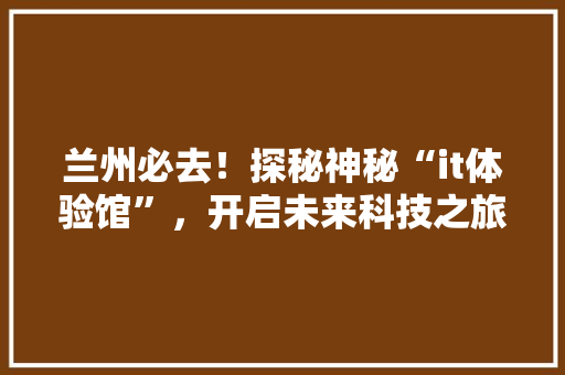 兰州必去！探秘神秘“it体验馆”，开启未来科技之旅 网站建设公司