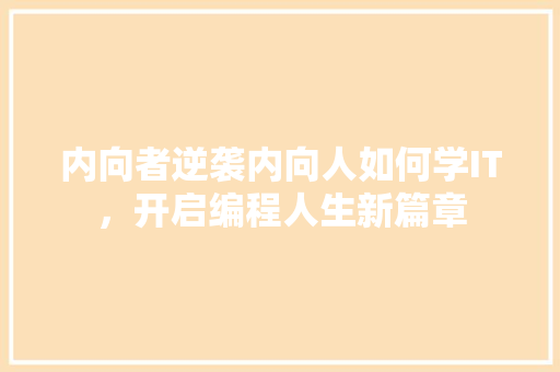 内向者逆袭内向人如何学IT，开启编程人生新篇章 必应SEO