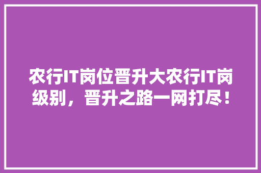 农行IT岗位晋升大农行IT岗级别，晋升之路一网打尽！