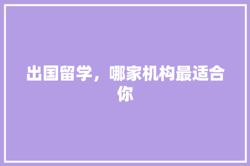 出国留学，哪家机构最适合你