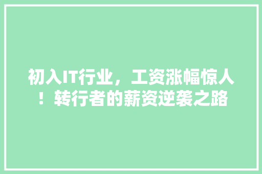 初入IT行业，工资涨幅惊人！转行者的薪资逆袭之路