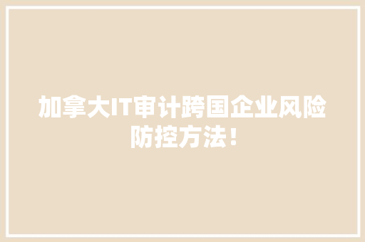 加拿大IT审计跨国企业风险防控方法！ 神马SEO