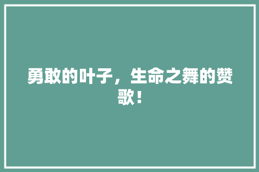 勇敢的叶子，生命之舞的赞歌！ 搜狗SEO