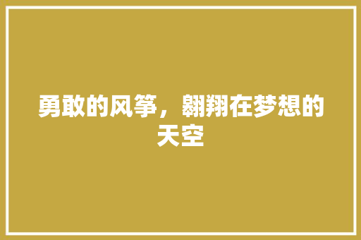 勇敢的风筝，翱翔在梦想的天空
