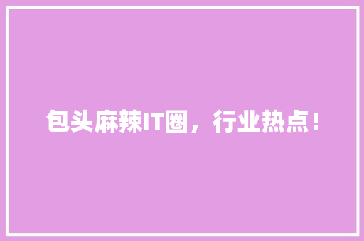 包头麻辣IT圈，行业热点！