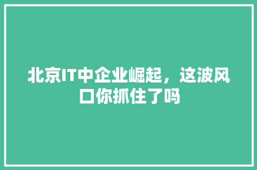 北京IT中企业崛起，这波风口你抓住了吗