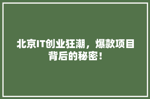 北京IT创业狂潮，爆款项目背后的秘密！
