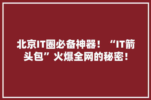 北京IT圈必备神器！“IT箭头包”火爆全网的秘密！