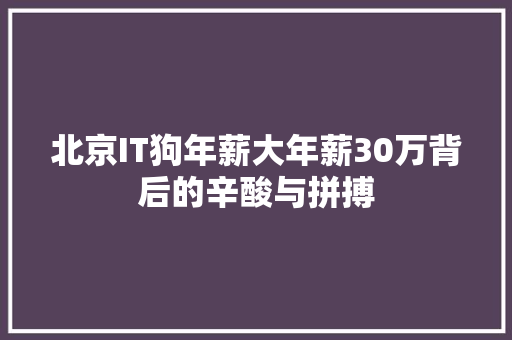 北京IT狗年薪大年薪30万背后的辛酸与拼搏