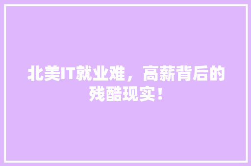 北美IT就业难，高薪背后的残酷现实！ 网站建设公司