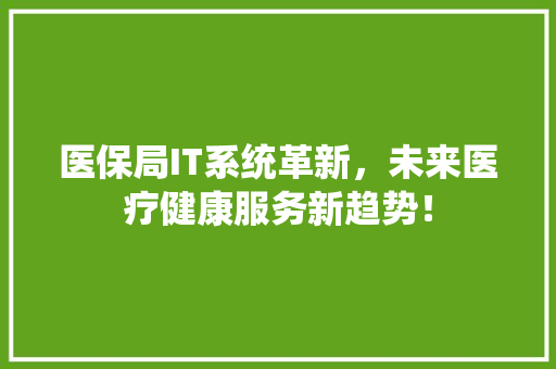医保局IT系统革新，未来医疗健康服务新趋势！