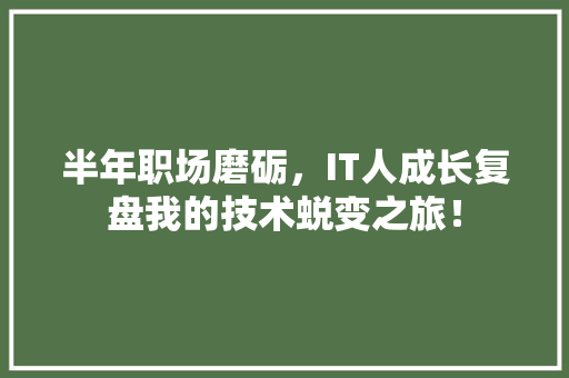 半年职场磨砺，IT人成长复盘我的技术蜕变之旅！