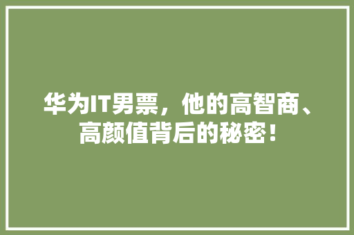华为IT男票，他的高智商、高颜值背后的秘密！