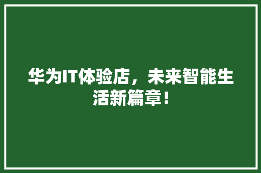 华为IT体验店，未来智能生活新篇章！ 百度SEO