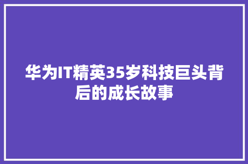 华为IT精英35岁科技巨头背后的成长故事 SEO关键词