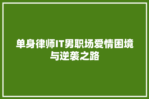 单身律师IT男职场爱情困境与逆袭之路 必应SEO