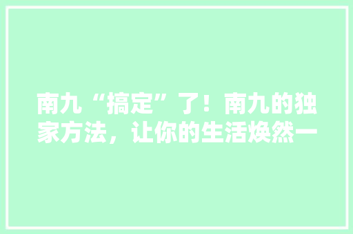 南九“搞定”了！南九的独家方法，让你的生活焕然一新！