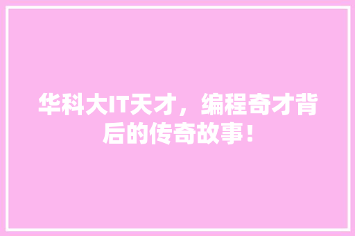 华科大IT天才，编程奇才背后的传奇故事！