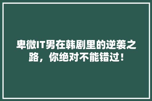 卑微IT男在韩剧里的逆袭之路，你绝对不能错过！