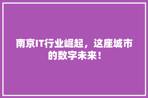南京IT行业崛起，这座城市的数字未来！ 必应SEO