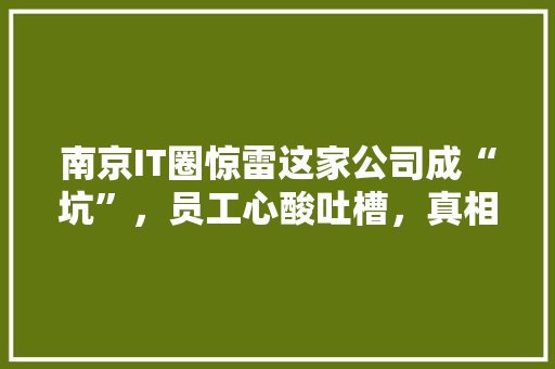 南京IT圈惊雷这家公司成“坑”，员工心酸吐槽，真相曝光！