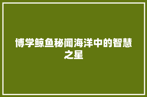 博学鲸鱼秘闻海洋中的智慧之星