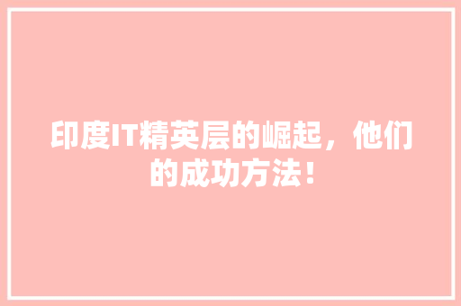 印度IT精英层的崛起，他们的成功方法！ 网站建设公司
