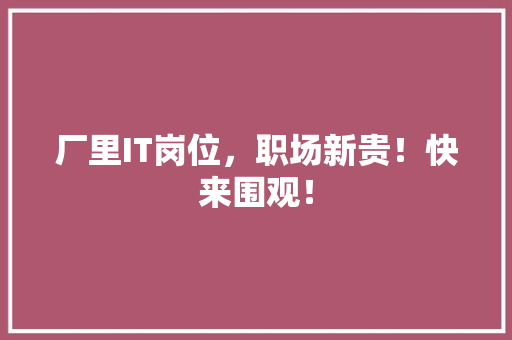 厂里IT岗位，职场新贵！快来围观！