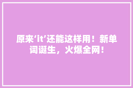 原来‘it’还能这样用！新单词诞生，火爆全网！ SEO关键词