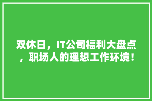 双休日，IT公司福利大盘点，职场人的理想工作环境！