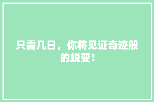 只需几日，你将见证奇迹般的蜕变！