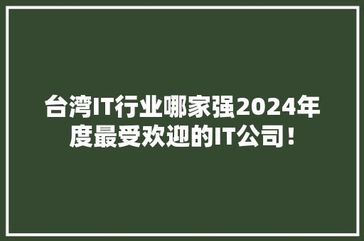 台湾IT行业哪家强2024年度最受欢迎的IT公司！ SEO关键词
