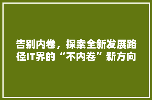 告别内卷，探索全新发展路径IT界的“不内卷”新方向 神马SEO