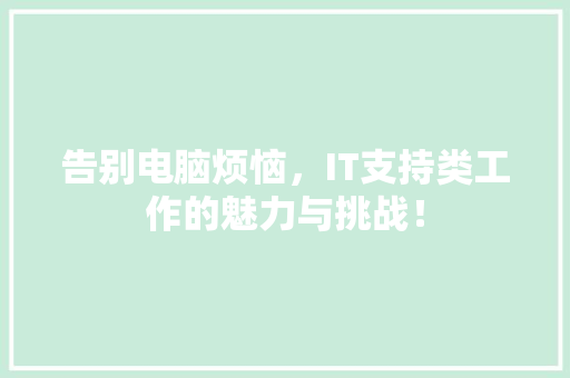 告别电脑烦恼，IT支持类工作的魅力与挑战！