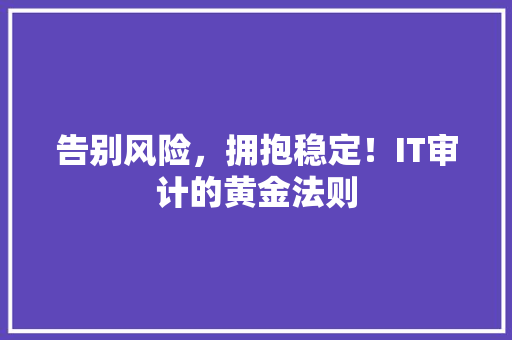 告别风险，拥抱稳定！IT审计的黄金法则 必应SEO