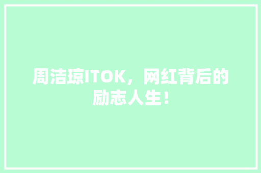周洁琼ITOK，网红背后的励志人生！ 百度SEO