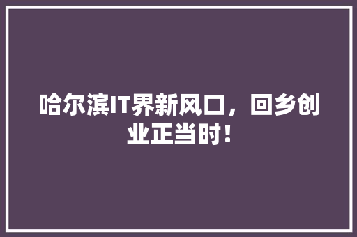 哈尔滨IT界新风口，回乡创业正当时！ SEO关键词